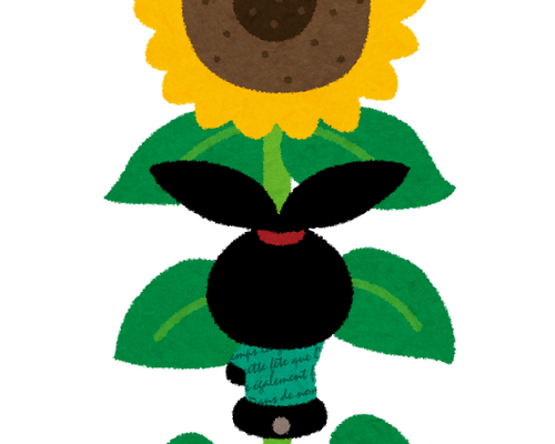 pyoko7_himawari